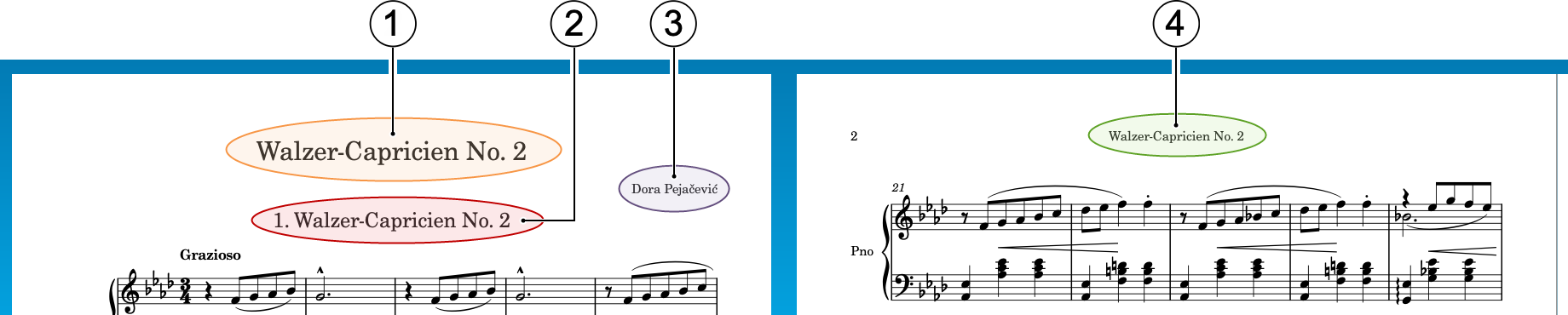 Labelled information in the layout