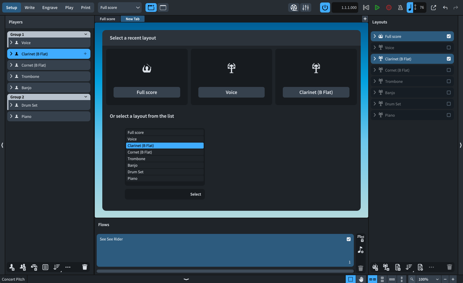 Project window in Setup mode after opening a new tab