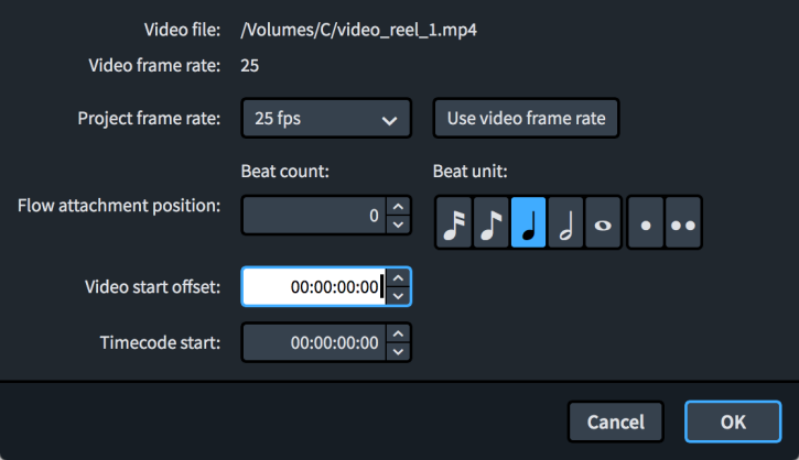 Video Properties dialog