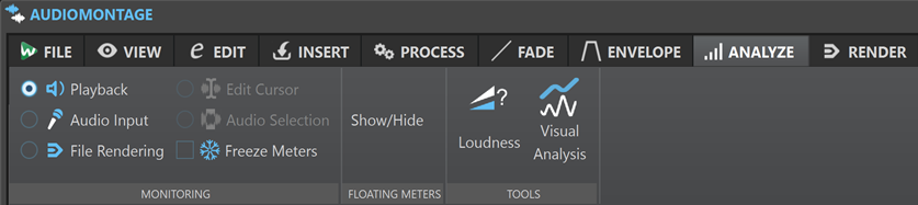 Analysieren-Registerkarte im Audiomontage-Fenster